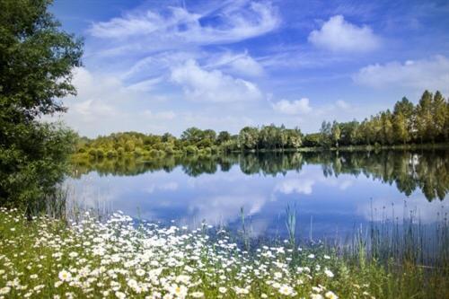 Lake Pochard Holiday Lodges South Cerney Εξωτερικό φωτογραφία